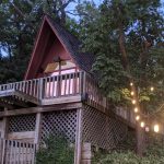 Les Bourgeois Vineyards: Forty Years on the Rocheport Bluffs