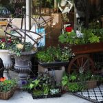 Shopping Rocheport: The Complete Guide to Local Shops, Studios, and Hidden Finds